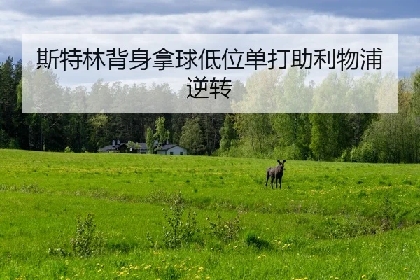 斯特林背身拿球低位单打助利物浦逆转 | LEYU